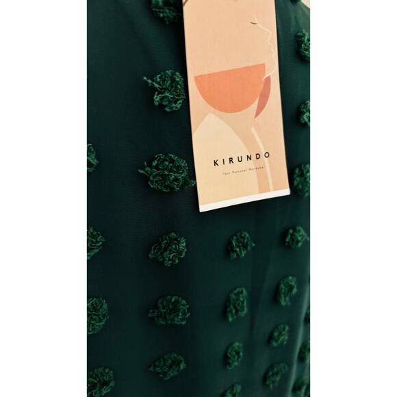 Kirundo NWT Womens Dress Size M Empire Waist 70s Retro Whimscagoth  Retro Sheer - Picture 5 of 15